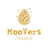 logo-moovert